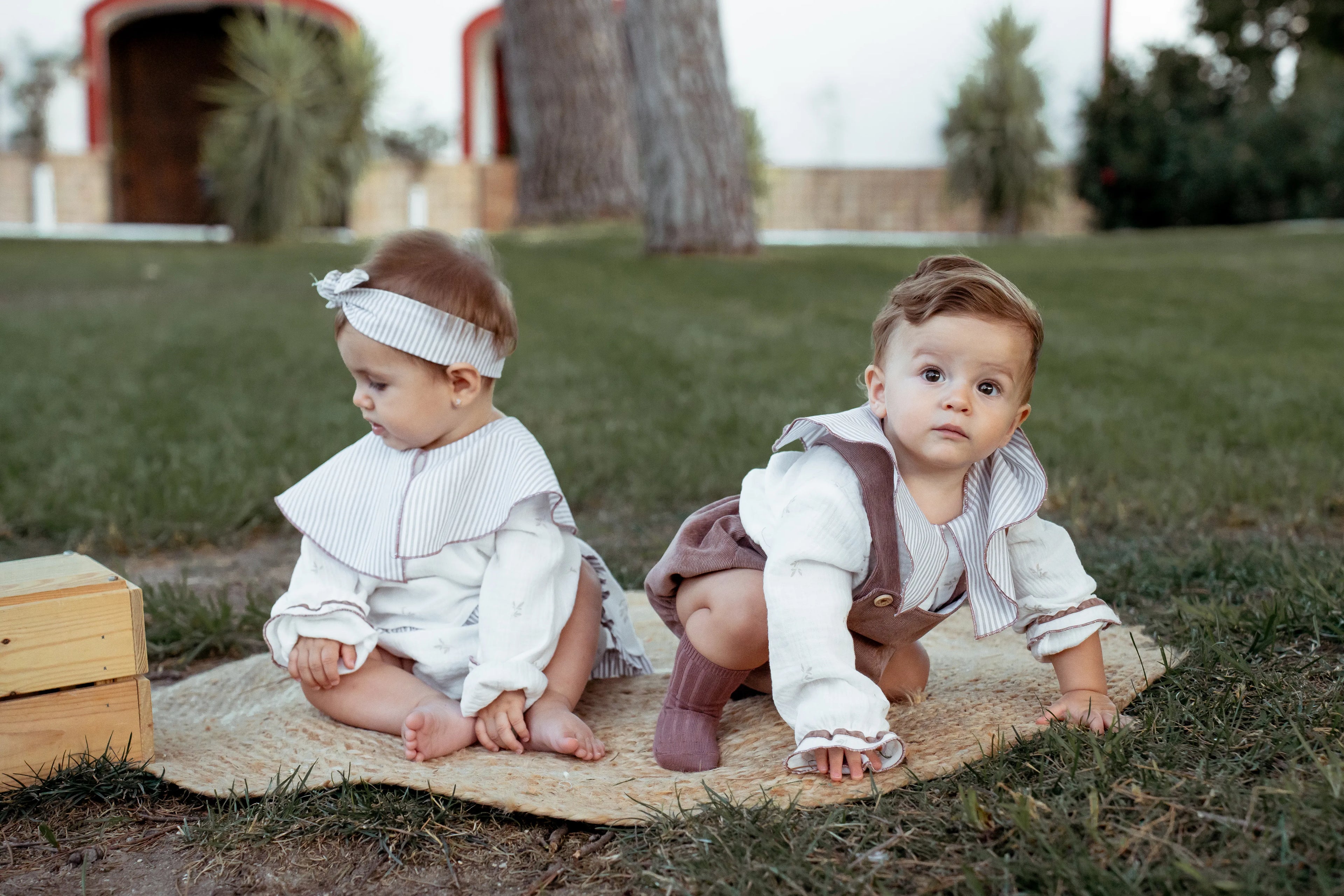 RANITA MICROPANA CISNE