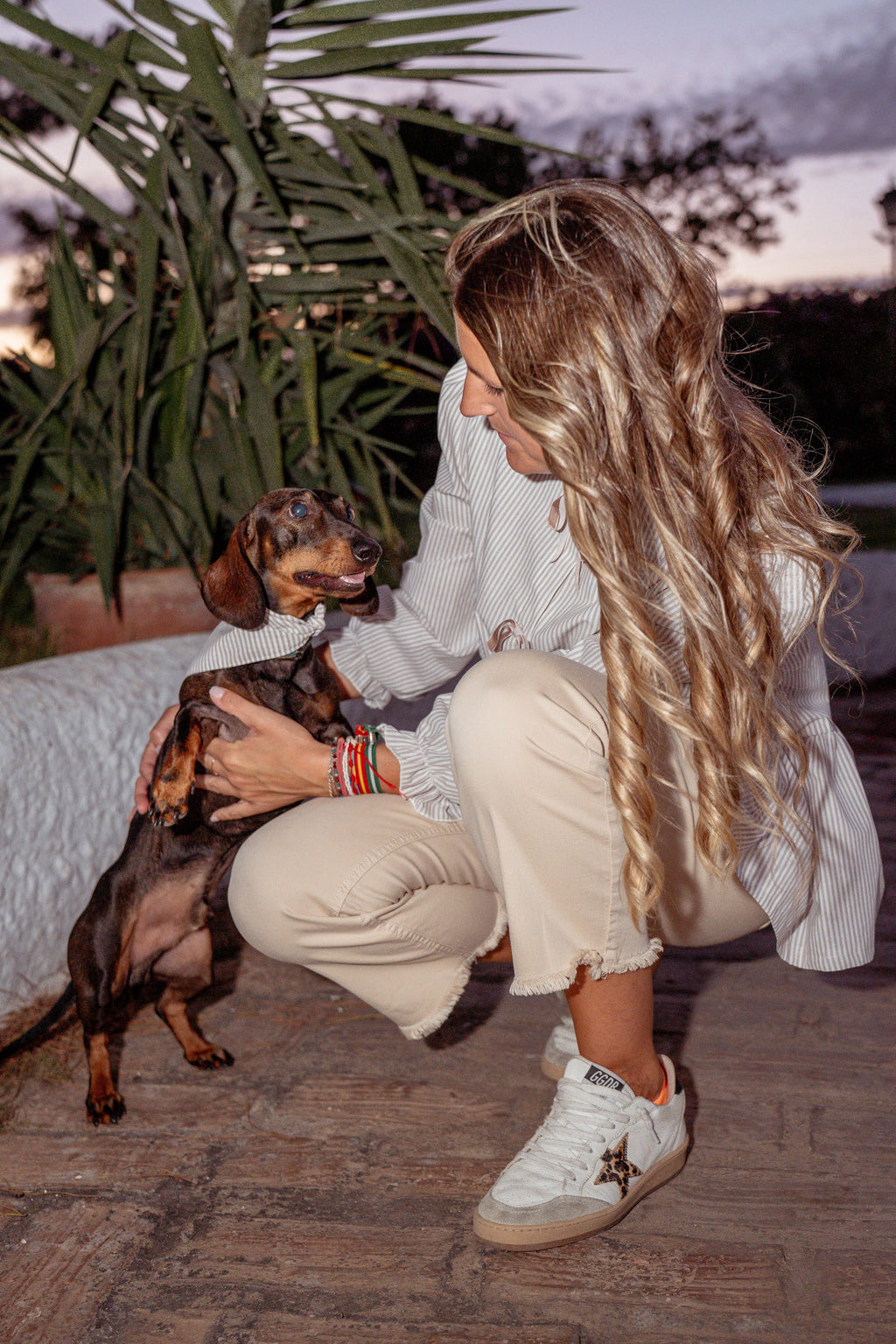 BANDANA MASCOTA CISNE