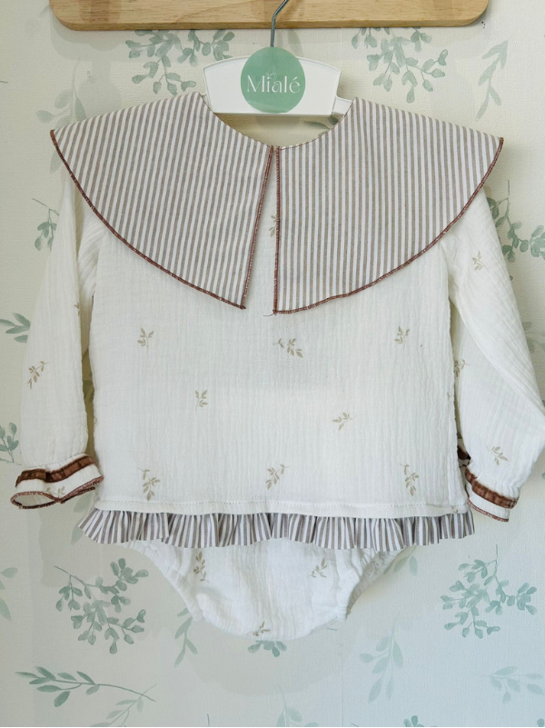 JESUSITO NIÑA CISNE